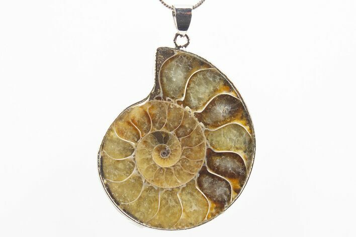 Fossil Ammonite Pendant - Million Years Old #306449